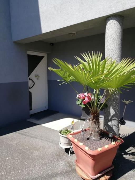 Appartement Agreable Haguenau Luaran gambar
